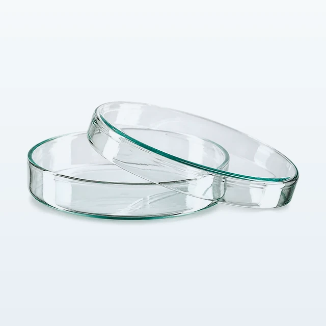 Petrischale 100x20mm Glas – auf hellgrau-blauer Bildfläche