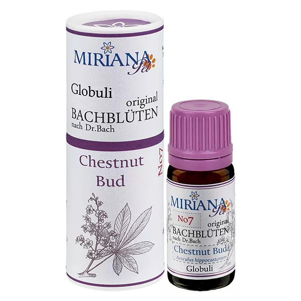 7 Chestnut Bud, 10g Globuli, MirianaPet 7 Chestnut Bud, 10g Globuli, MirianaPet