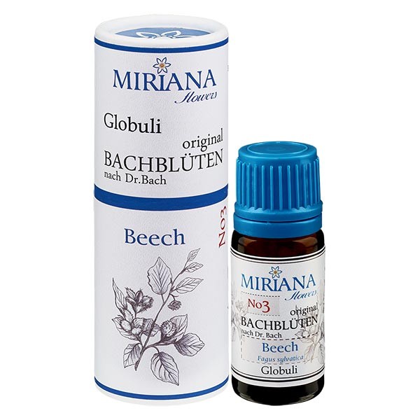 3 Beech, 10g Bach-Globuli, MirianaFlowers 3 Beech, 10g Bach-Globuli, MirianaFlowers
