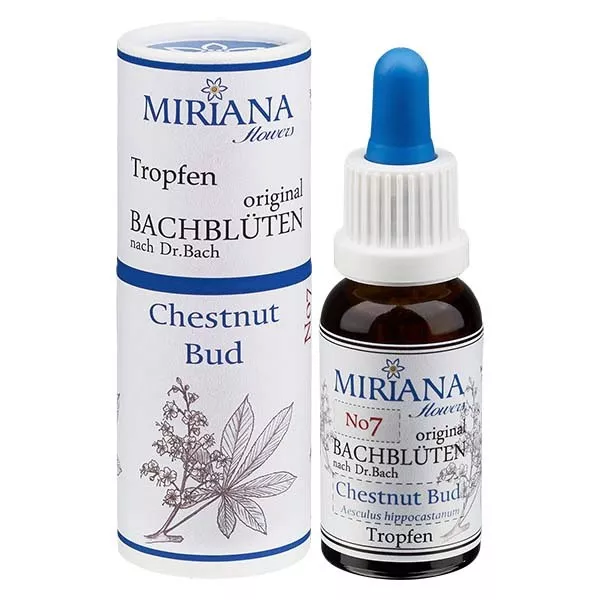 7 Chestnut Bud, 20ml Essenz, MirianaFlowers 7 Chestnut Bud, 20ml Essenz, MirianaFlowers