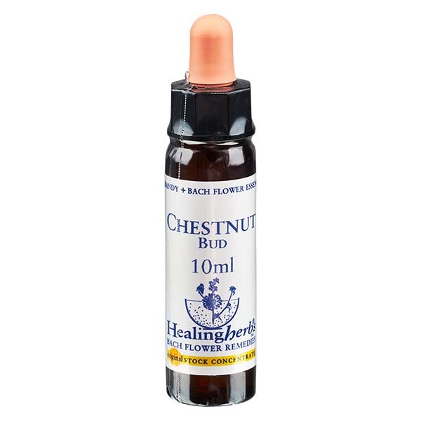 7 Chestnut Bud, 10ml, Healing Herbs 7 Chestnut Bud, 10ml, Healing Herbs