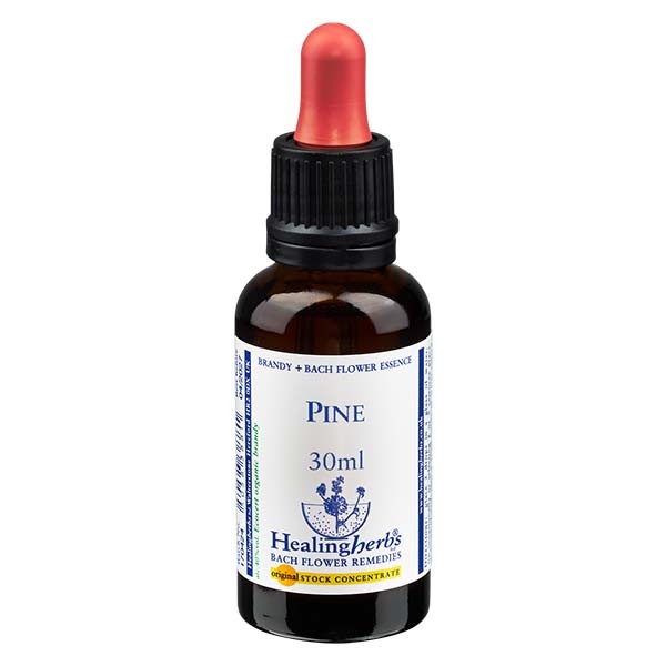 24 Pine, 30ml, Healing Herbs 24 Pine, 30ml, Healing Herbs