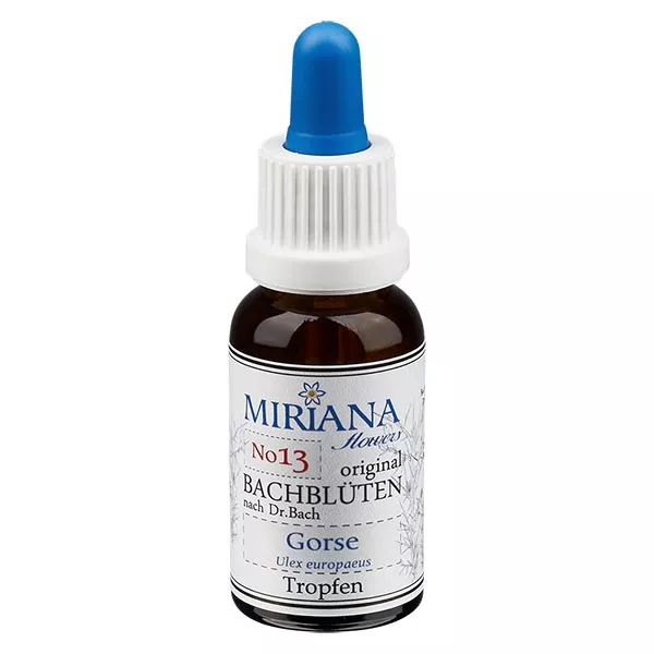 13 Gorse, 30ml Essenz, MirianaFlowers 13 Gorse, 30ml Essenz, MirianaFlowers