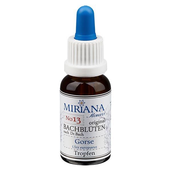 13 Gorse, 30ml Essenz, MirianaFlowers 13 Gorse, 30ml Essenz, MirianaFlowers