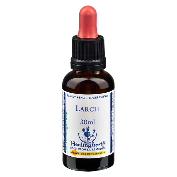 19 Larch, 30ml, Healing Herbs 19 Larch, 30ml, Healing Herbs