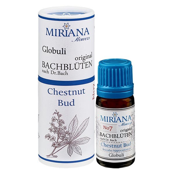 7 Chestnut Bud, 10g Bach-Globuli, MirianaFlowers 7 Chestnut Bud, 10g Bach-Globuli, MirianaFlowers