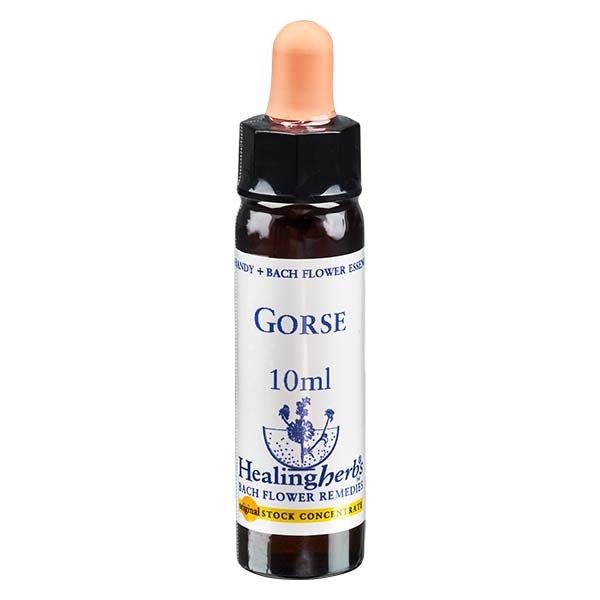 13 Gorse, 10ml, Healing Herbs 13 Gorse, 10ml, Healing Herbs