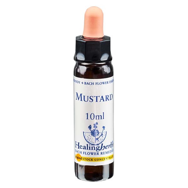 21 Mustard, 10ml, Healing Herbs 21 Mustard, 10ml, Healing Herbs