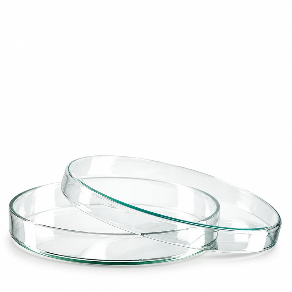Petrischale 120x20mm Glas Petrischale Glas 120x20mm stapelbar transparent für Bakterienkulturen und Forschung