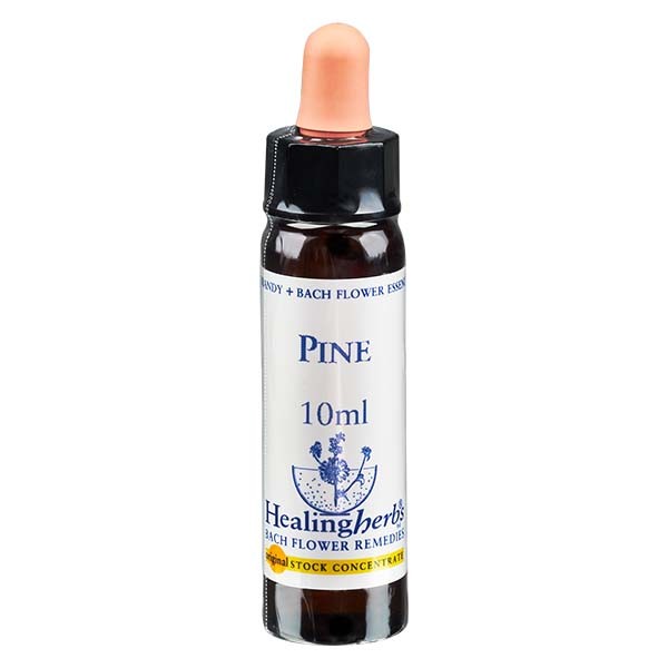 24 Pine, 10ml, Healing Herbs