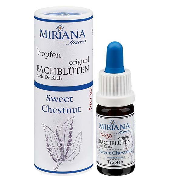 30 Sweet Chestnut, 10ml Essenz, MirianaFlowers