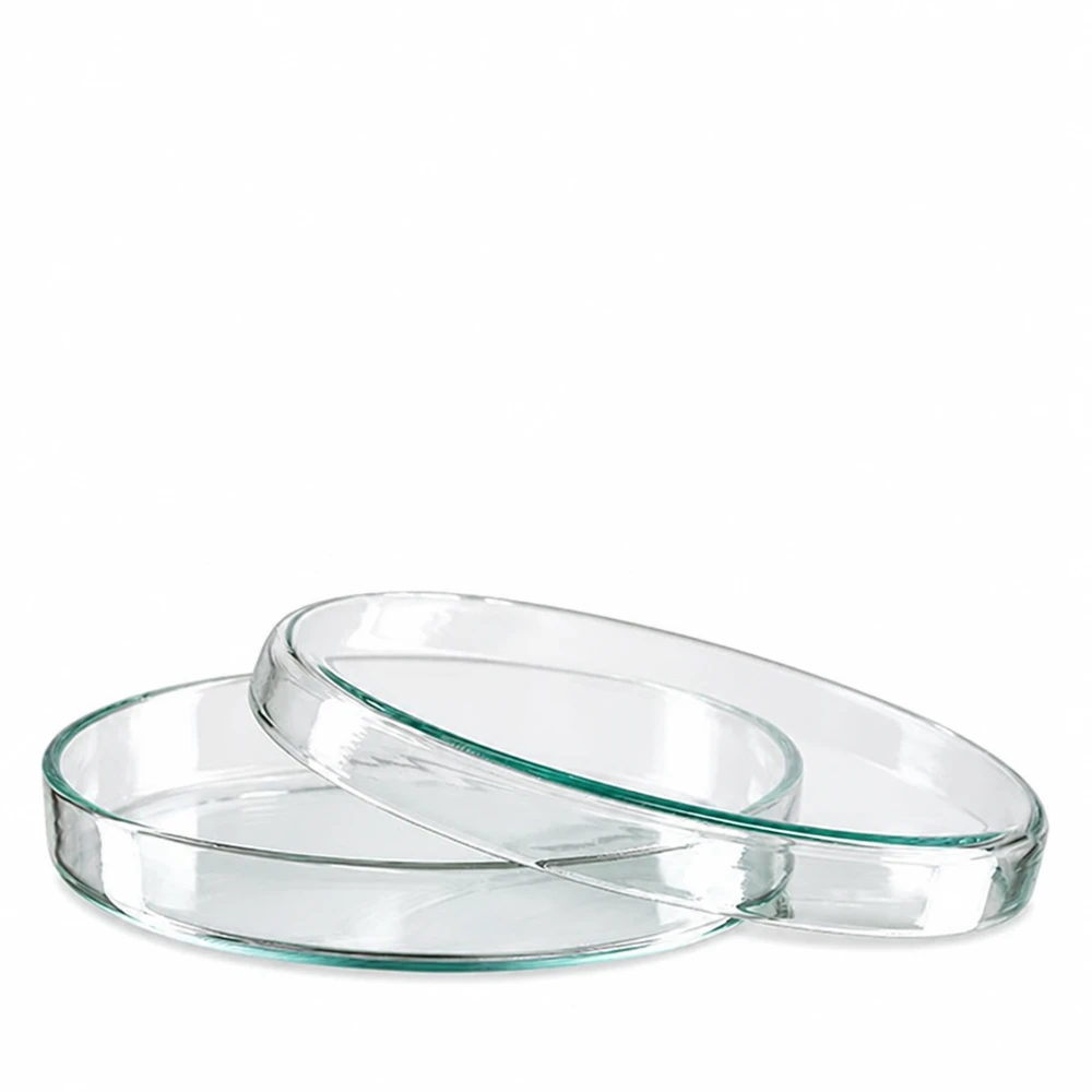 Petrischale 90x15mm Glas Transparente Glaspetrischale 90mm leicht grünlicher Glaston stapelbar für wissenschaftliche Zwecke