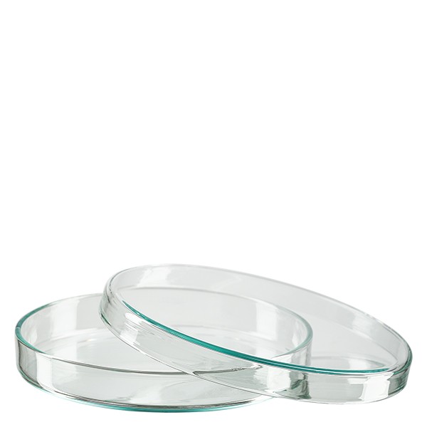 Petrischale 100x10mm Glas Petrischale 100x10mm Glas