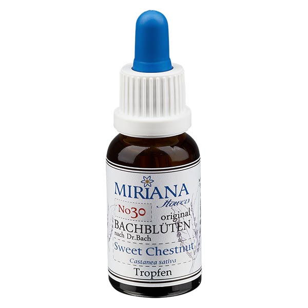 30 Sweet Chestnut, 30ml Essenz, MirianaFlowers