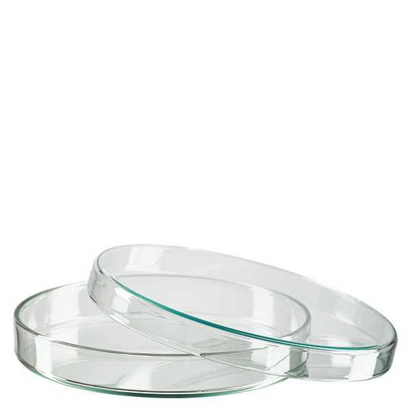 Petrischale 120x20mm Glas Petrischale 120x20mm Glas