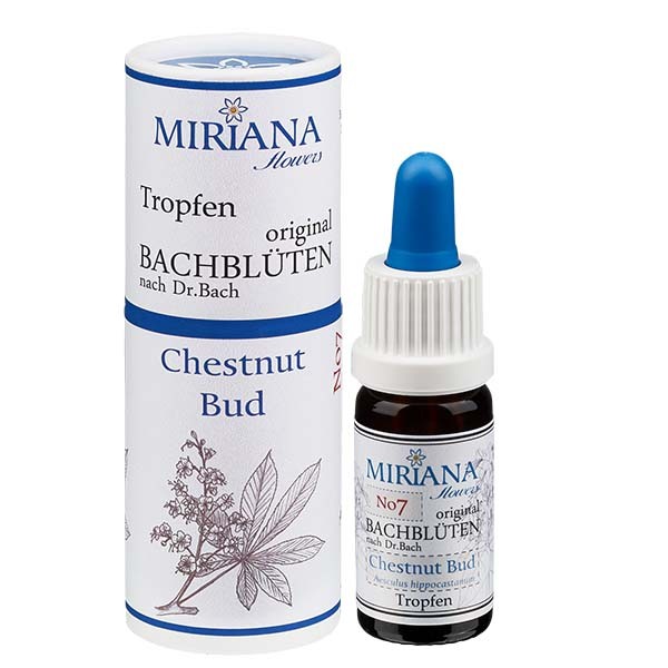 7 Chestnut Bud, 10ml Essenz, MirianaFlowers 7 Chestnut Bud, 10ml Essenz, MirianaFlowers