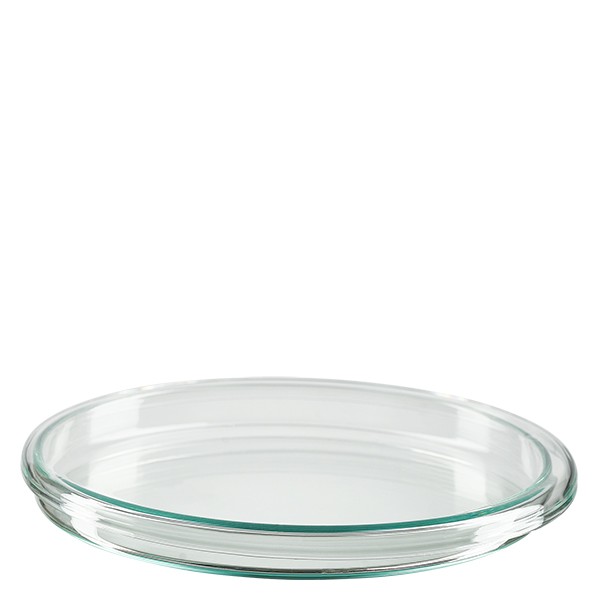 Petrischale 100x10mm Glas Petrischale 100x10mm Glas