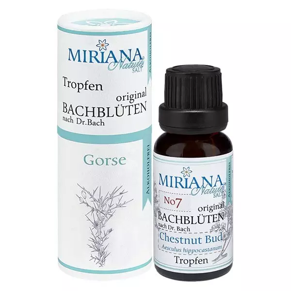 13 Gorse, 20ml Essenz (Ohne Alkohol), MirianaNature 13 Gorse, 20ml Essenz (Ohne Alkohol), MirianaNature
