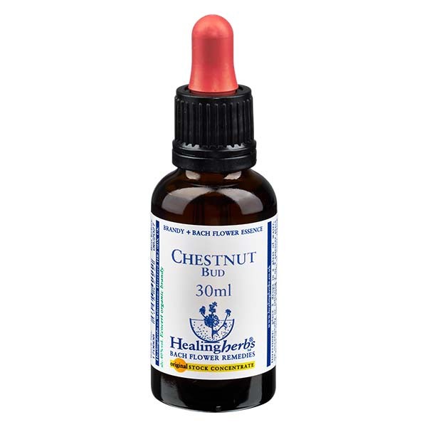 7 Chestnut Bud, 30ml, Healing Herbs 7 Chestnut Bud, 30ml, Healing Herbs