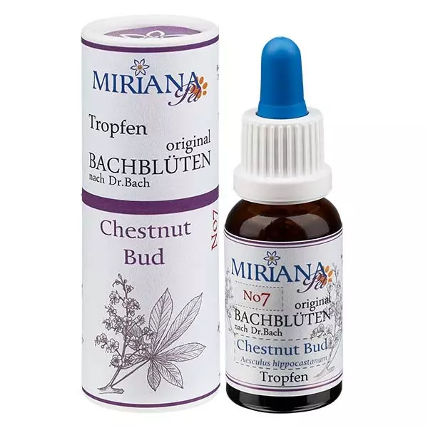 7 Chestnut Bud, 20ml Stockbottle, MirianaPet