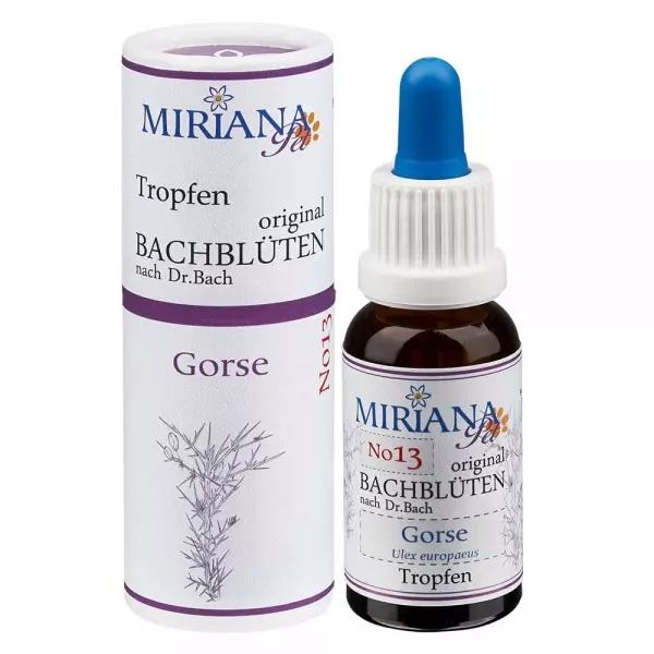 13 Gorse, 20ml Stockbottle, MirianaPet