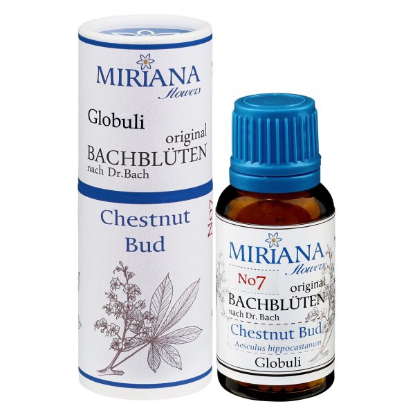 7 Chestnut Bud, 20g Bach-Globuli, MirianaFlowers 7 Chestnut Bud, 20g Bach-Globuli, MirianaFlowers