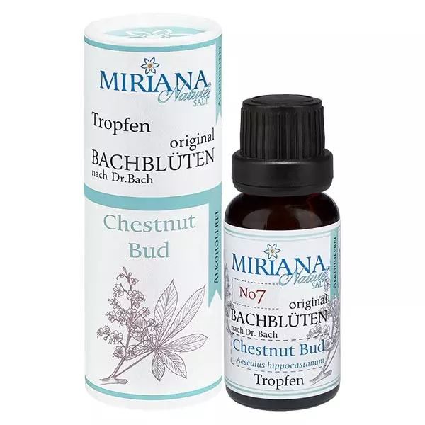 7 Chestnut Bud, 20ml Essenz (Ohne Alkohol), MirianaNature 7 Chestnut Bud, 20ml Essenz (Ohne Alkohol), MirianaNature