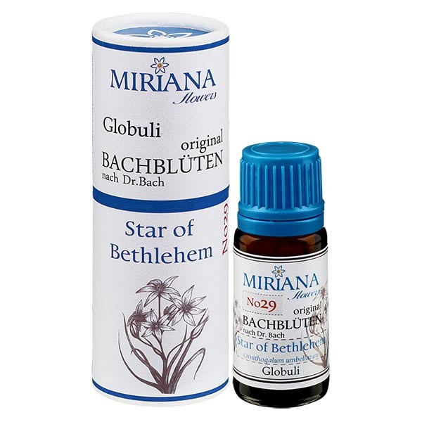29 Star of Bethlehem, 10g Bach-Globuli, MirianaFlowers