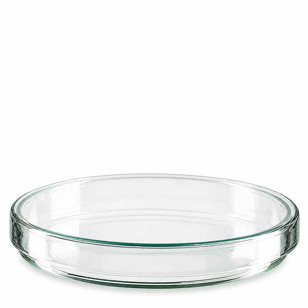 Petrischale 120x20mm Glas Flache zylindrische Glasschale 120mm Durchmesser 20mm Höhe für Labor und Forschung