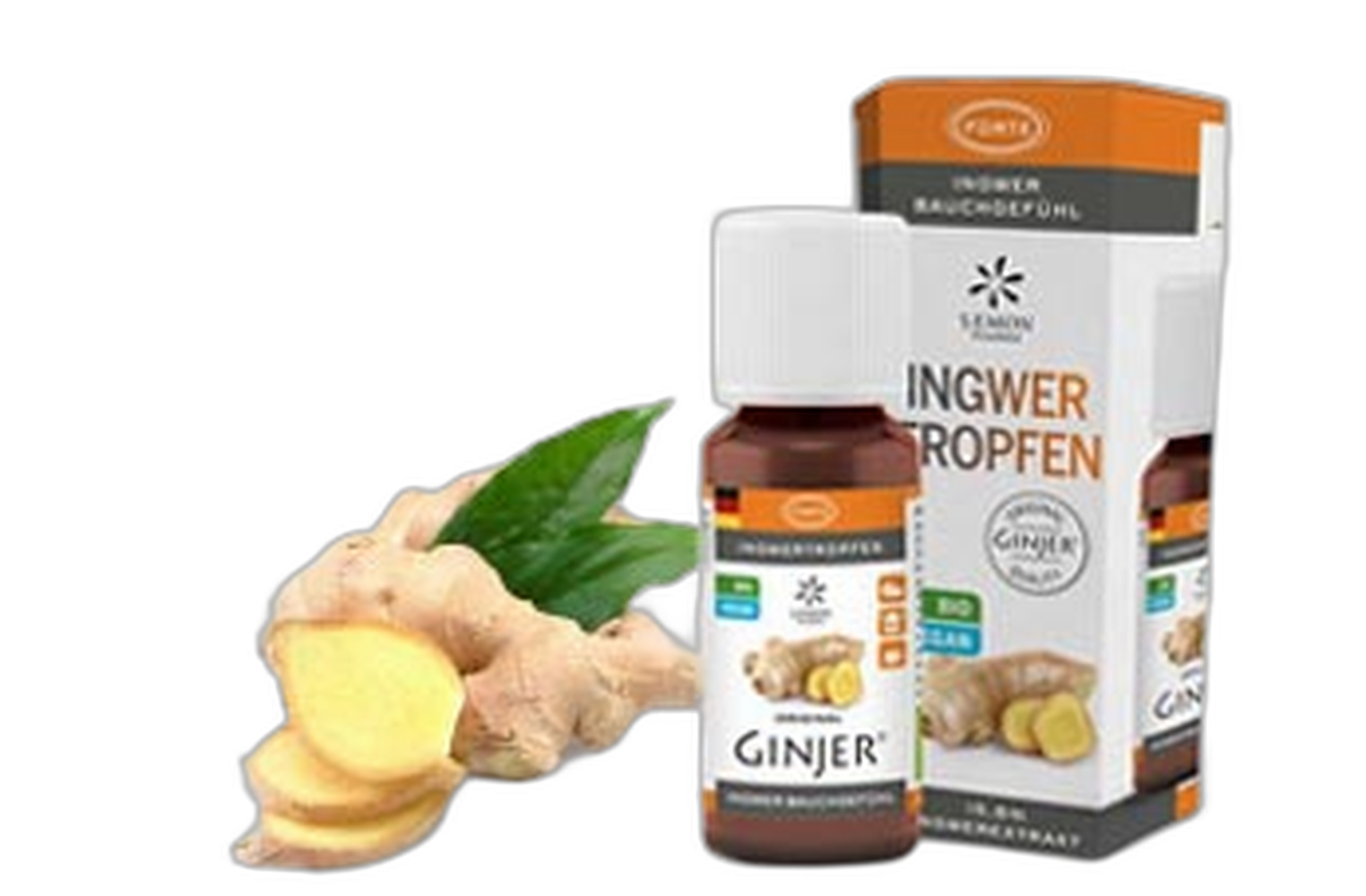 Ingwer