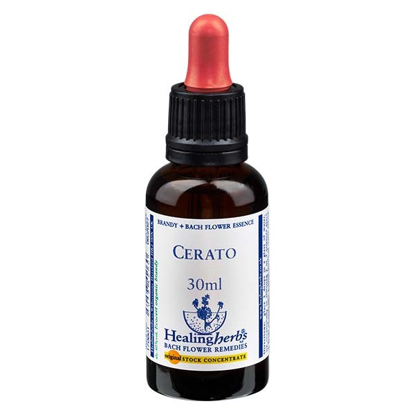 5 Cerato, 30ml, Healing Herbs