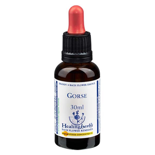 13 Gorse, 30ml, Healing Herbs 13 Gorse, 30ml, Healing Herbs