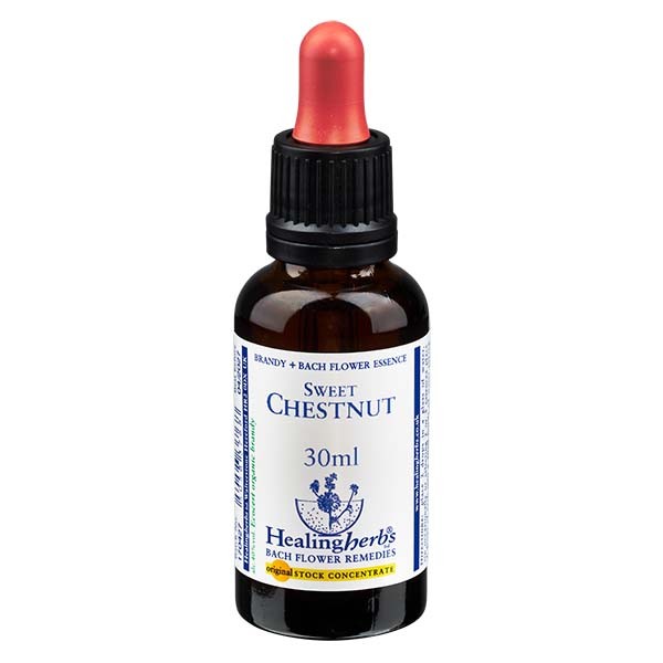 30 Sweet Chestnut, 30ml, Healing Herbs
