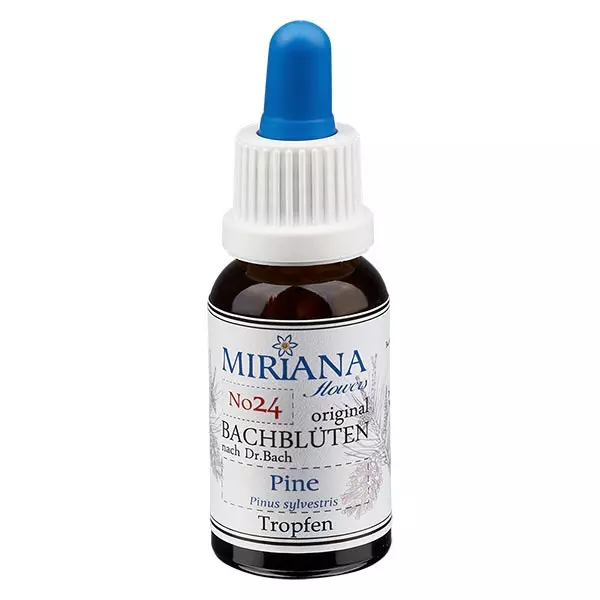 24 Pine, 30ml Essenz, MirianaFlowers 24 Pine, 30ml Essenz, MirianaFlowers