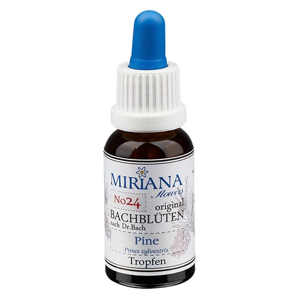 24 Pine, 30ml Essenz, MirianaFlowers 24 Pine, 30ml Essenz, MirianaFlowers
