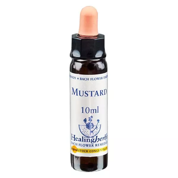 21 Mustard, 10ml, Healing Herbs