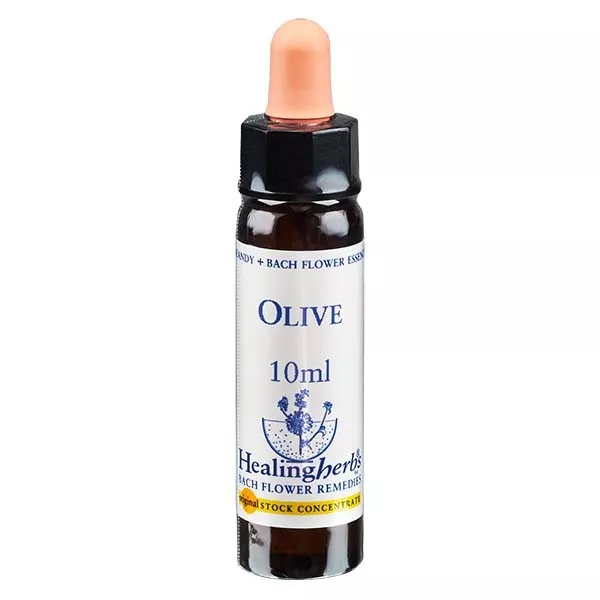 23 Olive, 10ml, Healing Herbs