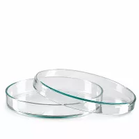 Petrischale Glas 100x10mm mit leicht grünlichem Rand für Laborzwecke geeignet