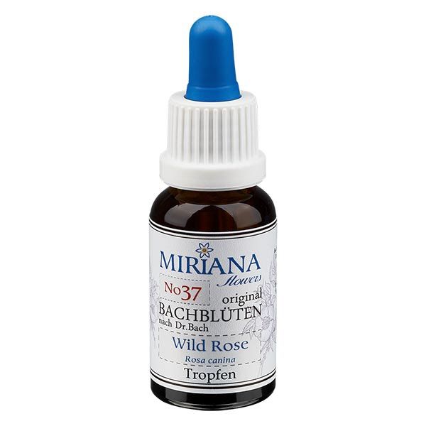 37 Wild Rose, 30ml Essenz, MirianaFlowers