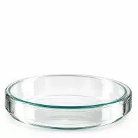 Klassische Petrischale Glas 100x20mm mit stabilem Rand und ebenem Boden