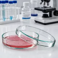 Petrischale aus Glas 70x15mm für Zellkulturen neben Reagenzflaschen und Labormikroskop