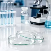 Sterile Glaspetrischalen 120mm Durchmesser 20mm Höhe für Zellkultur und Mikrobiologie