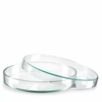 Petrischale Glas 120x20mm stapelbar transparent für Bakterienkulturen und Forschung