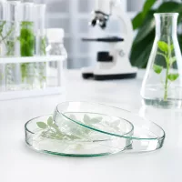 Laborpetrischale Glas 120x20mm für botanische Gewebekultur mit Mikroskop und Erlenmeyerkolben