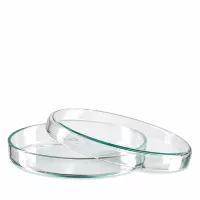 Transparente Glaspetrischale 90mm leicht grünlicher Glaston stapelbar für wissenschaftliche Zwecke