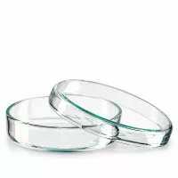 Petrischale Glas mit flachem Boden und niedrigem Rand 70mm Durchmesser