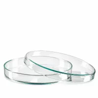 Laborpetrischale Glas 100x15mm für Mikrobiologie Zellkultur und wissenschaftliche Experimente