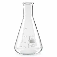 Erlenmeyerkolben 500ml Fassungsvermögen mit Enghals für Experimente und Analysen