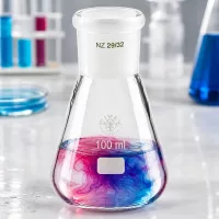 Erlenmeyerkolben 100ml mit Normschliff (29/32)