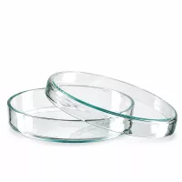 Kleine Glaspetrischale 80mm für Labor Mikrobiologie Biologie und Chemieunterricht